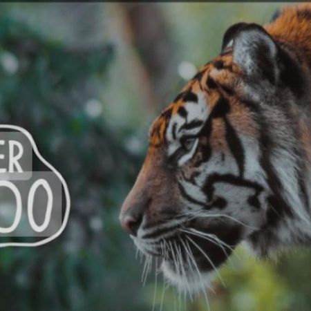 The Beautiful Bungalow Amazing Location For Chester & Zoo Wervin エクステリア 写真