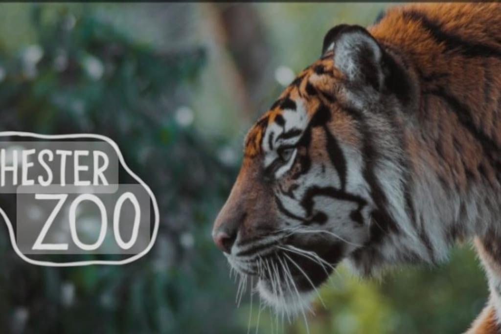 The Beautiful Bungalow Amazing Location For Chester & Zoo Wervin エクステリア 写真